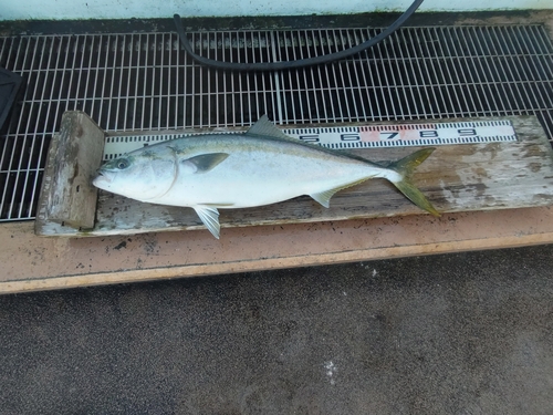 新地町海釣り公園