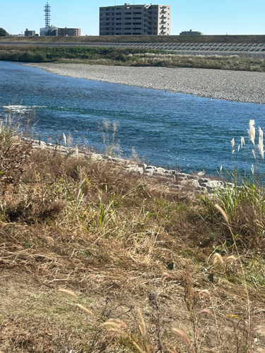 長良川