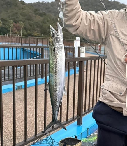 あかぐり海釣公園