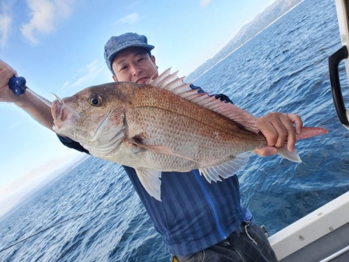 マダイの釣果