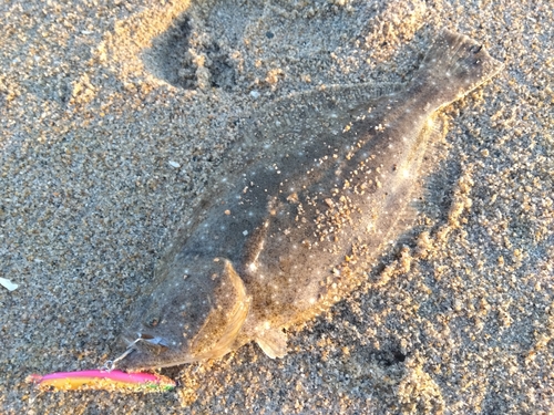 新舞子海岸（いわき）