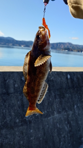 広田湾