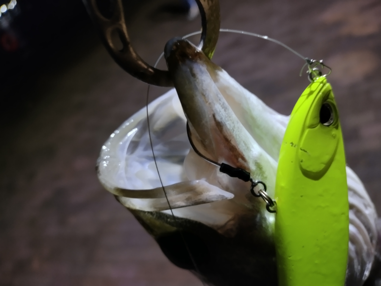 SHIMANO ディアルーナ MB S900ML-4の最安値・インプレ・釣果