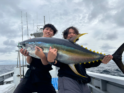 キハダマグロの釣果