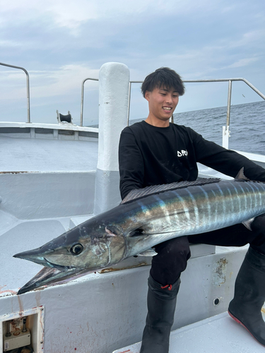 オキサワラの釣果