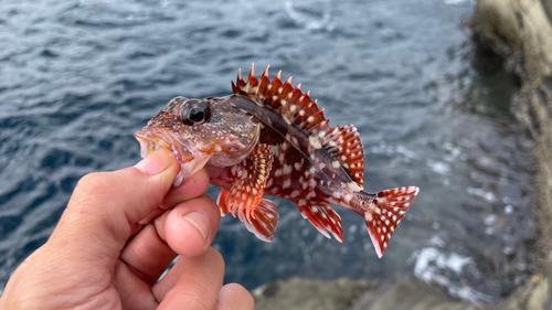 三浦半島