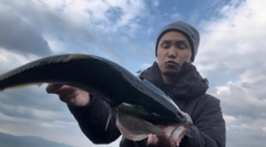 ヤズの釣果