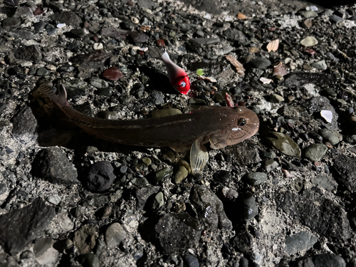 石狩湾新港