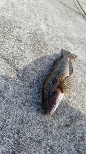 三陸海岸（宮城）