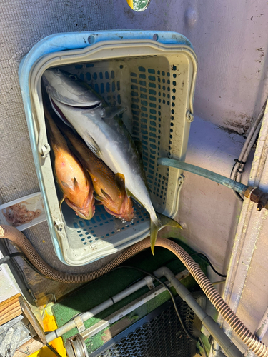 大浜釣り公園（金沢港ふれあい広場）