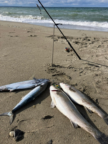 釜谷浜海水浴場