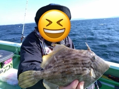 カワハギの釣果