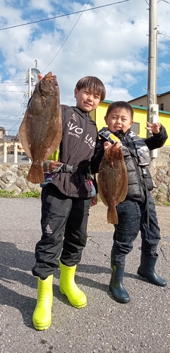 ヒラメの釣果