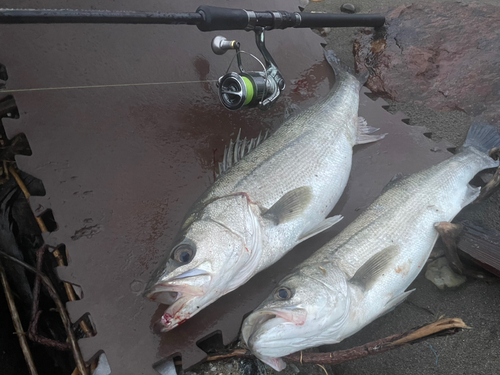 飯田湾