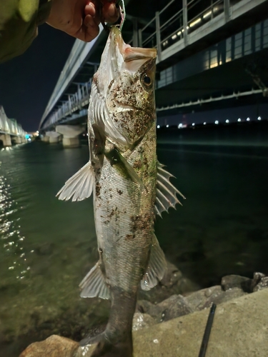 衣浦湾