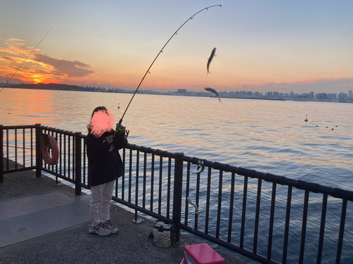 若洲海浜公園海釣り施設