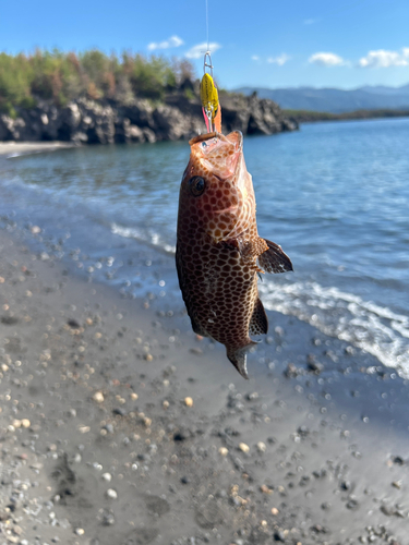 桜島