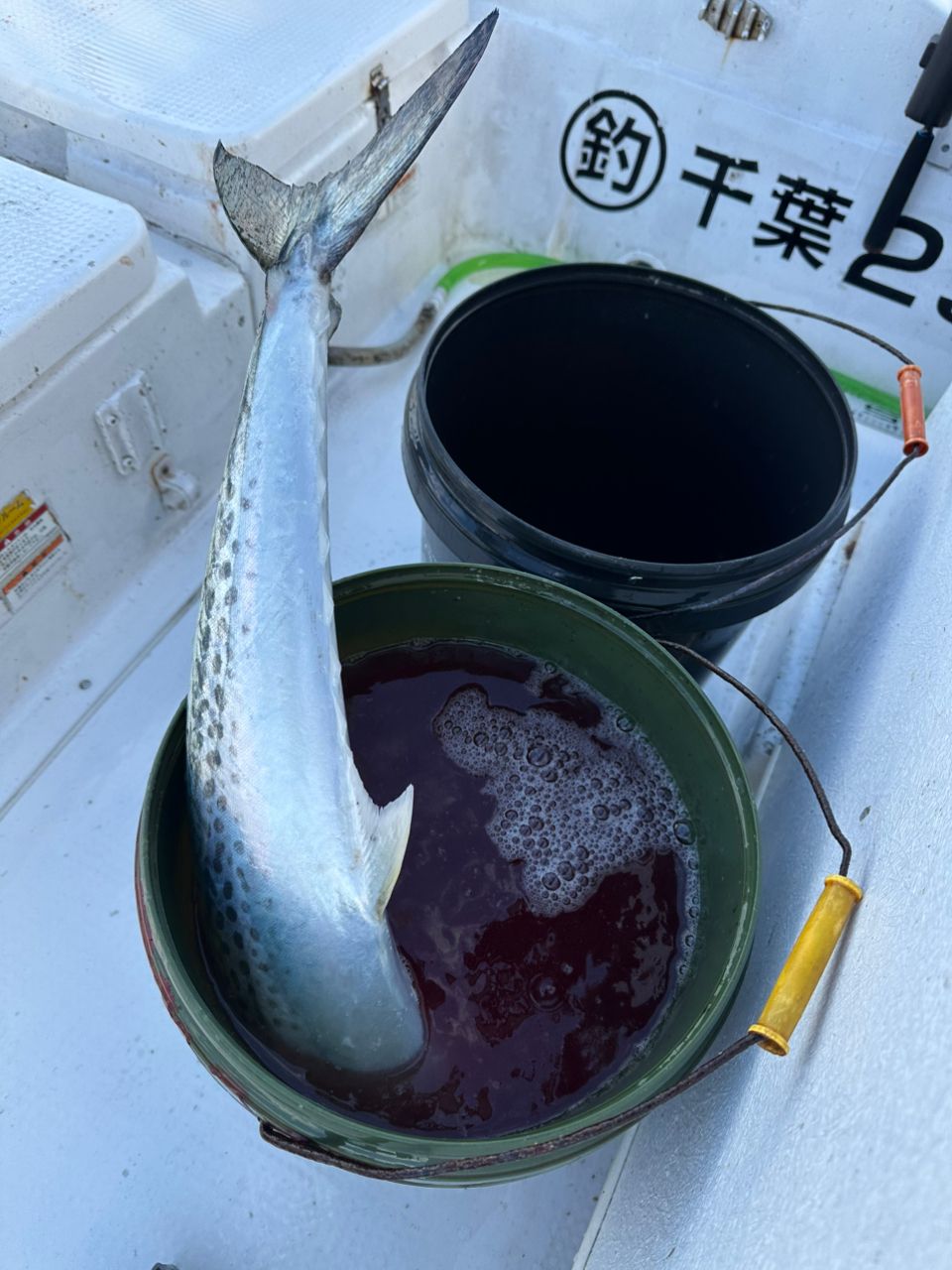 Ryo Kさんの釣果 2枚目の画像