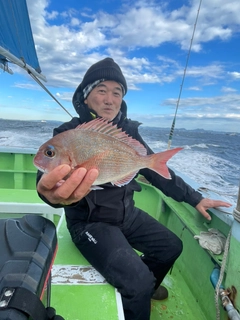 マダイの釣果