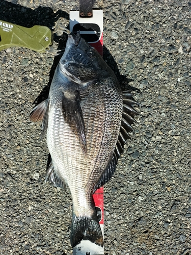 南芦屋浜ベランダ