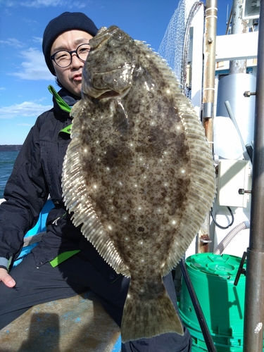 ヒラメの釣果