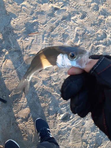 表浜名湖