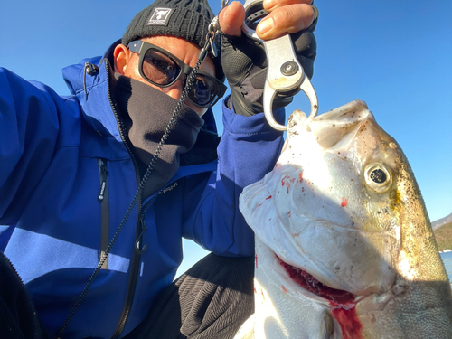 鹿児島湾北部