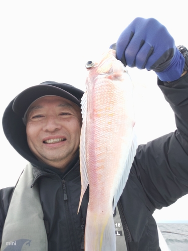 アマダイの釣果