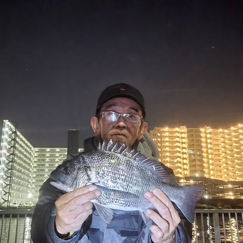 チヌの釣果