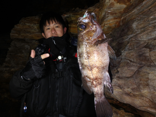 伊勢湾湾奥