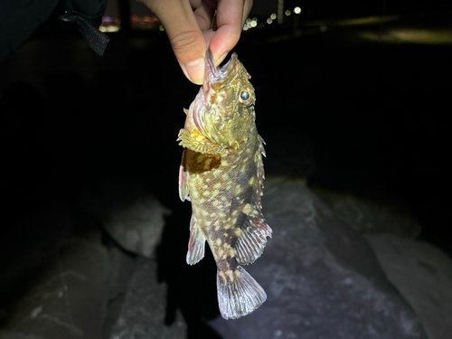 若洲海浜公園海釣り施設