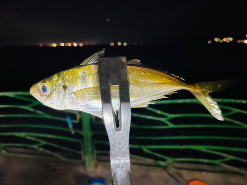 海辺つり公園