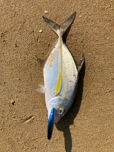 沖縄本島北部