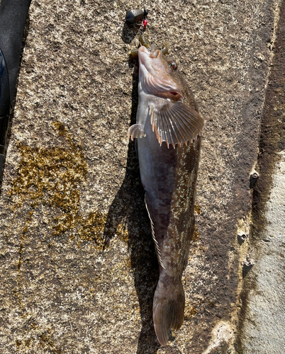 気仙沼湾