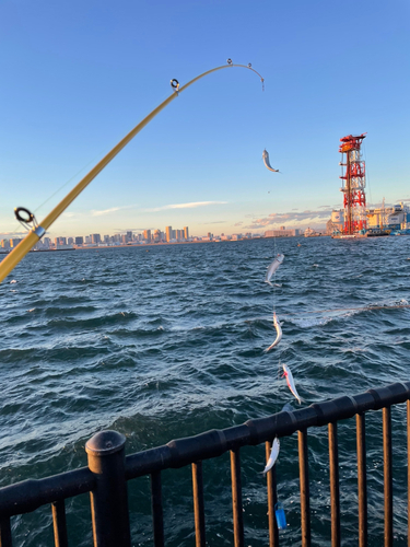 若洲海浜公園海釣り施設