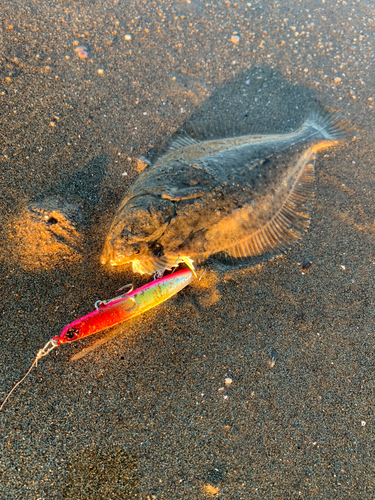 伊勢湾湾奥