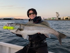 シーバスの釣果