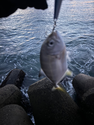 館山湾