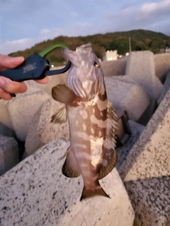 釣果