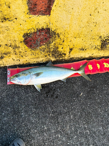 しまなみ海道