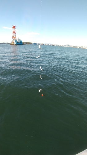 若洲海浜公園海釣り施設