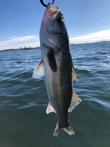 幕張海浜公園