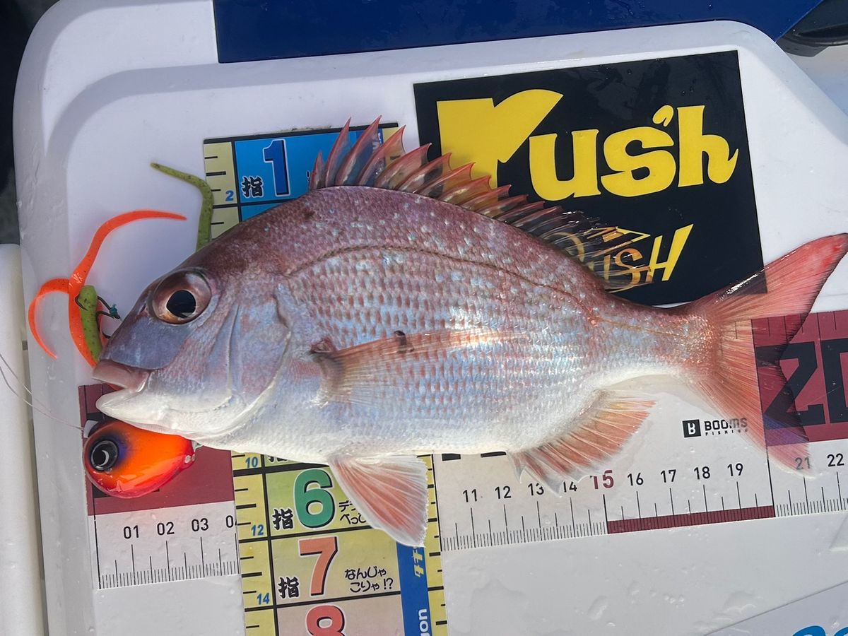 たけしハイさんの釣果 2枚目の画像