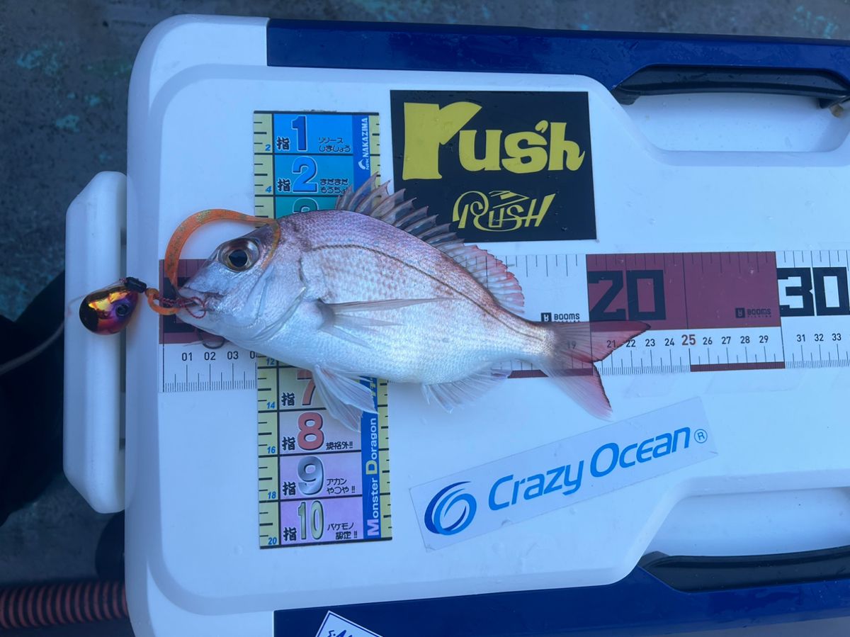 たけしハイさんの釣果 3枚目の画像