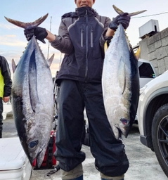 キハダマグロの釣果