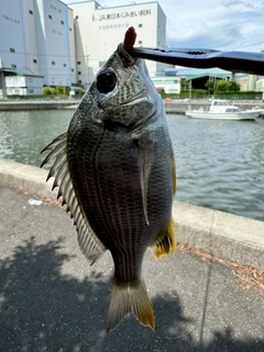 釣果