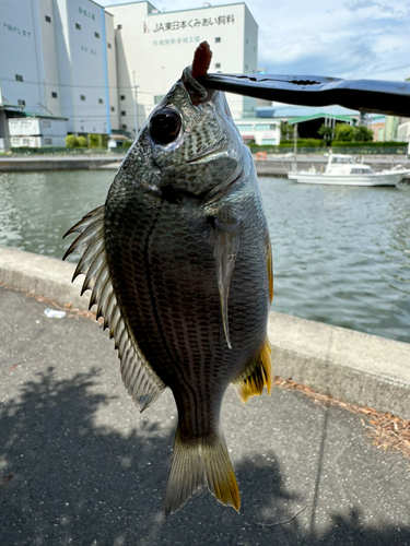 巴川河口