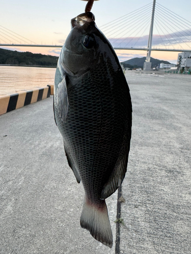 気仙沼湾