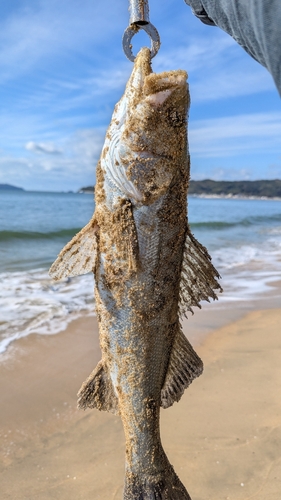 志賀島