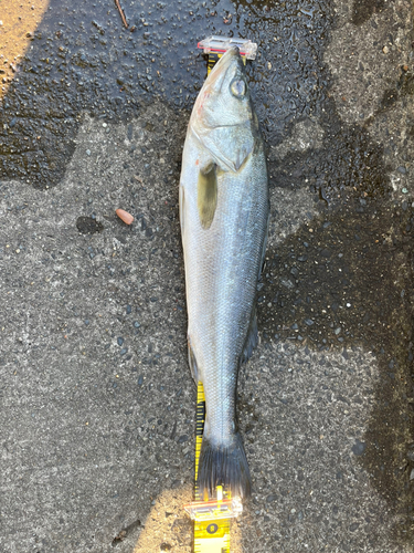 オリジナルメーカー海釣り公園